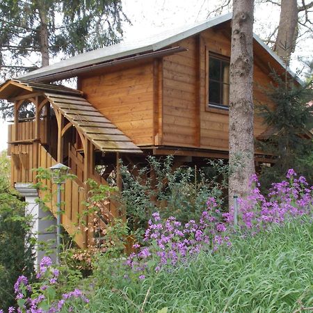 Baumhaus Wolfshoehle Fischach Екстериор снимка
