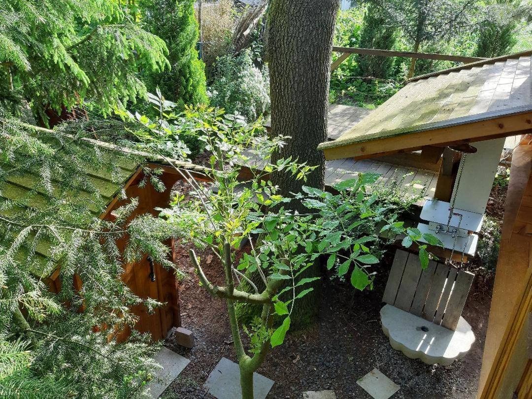 Baumhaus Wolfshoehle Fischach Екстериор снимка